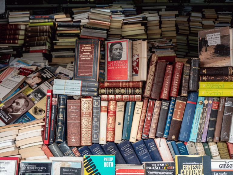 PhD in Graphic Novels and Comics Studies